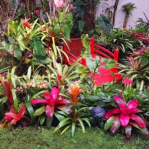 Homestay Paradise At Anthurium Hale, Hilo